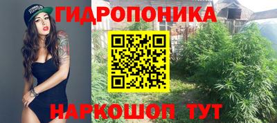 гашиш Шелехов