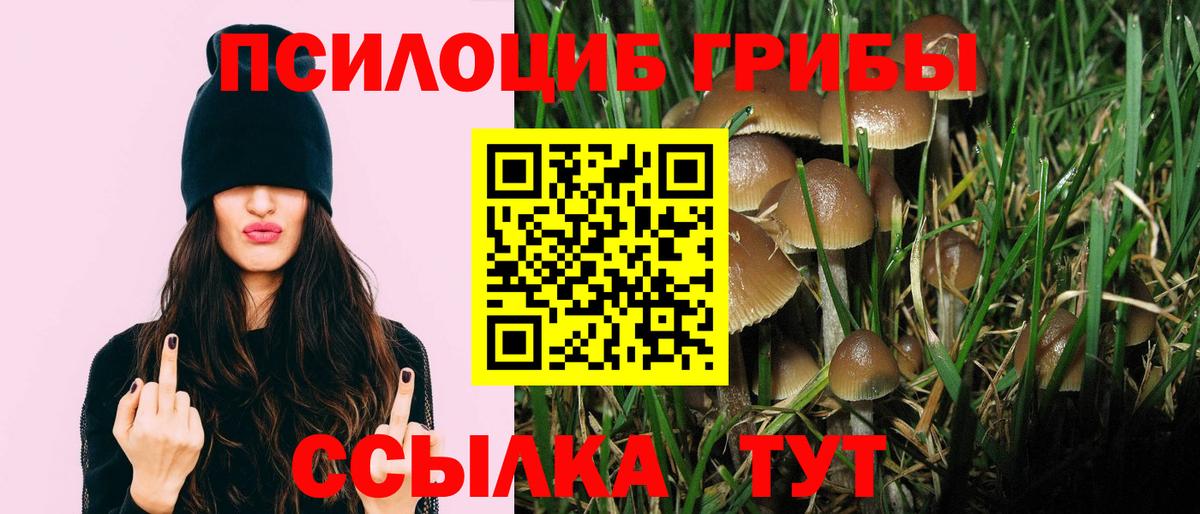 Архангельск  купить   Вход с VPN  Псилоцибиновые грибы Magic Shrooms  Галлюциногенные грибы Psilocybine cubensis 